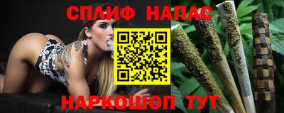 шишки Кандалакша
