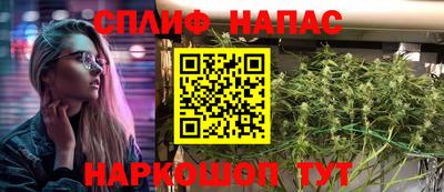 шишки Кандалакша