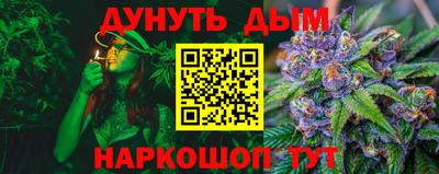шишки Кандалакша
