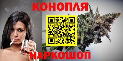 шишки Кандалакша