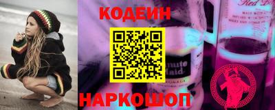 шишки Кандалакша